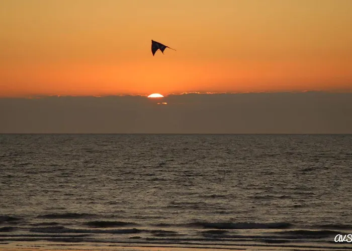 Lejlighed Ereva Seaside 1 Bedroom Modern Oostende