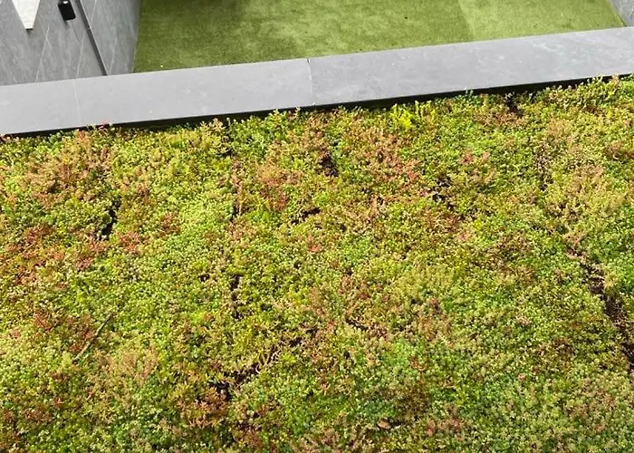 דירה Ereva Seaside 1 Bedroom Modern אוסטנדה